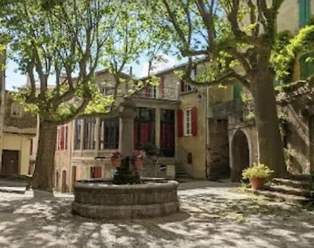 Belle Des Cevennes *