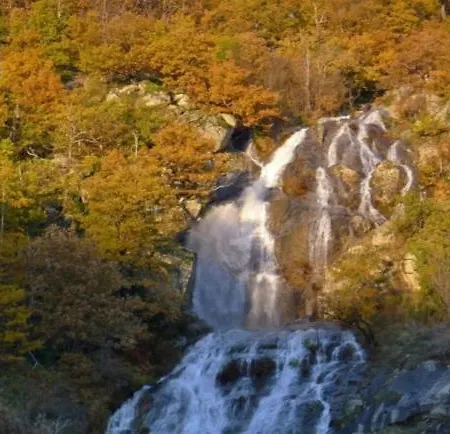 Belle Des Cevennes * Aumessas